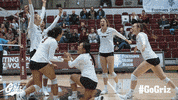 UMGrizzlies montana grizzlies gogriz GIF