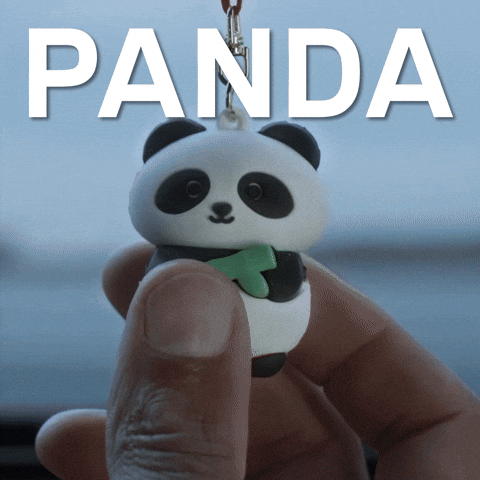 Vdx GIF by BMW