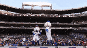 Major League Baseball Dance GIF by MLB