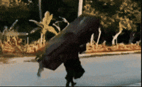 Immax045 GIF