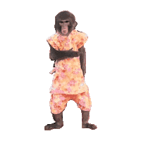 Monkey Understand Sticker