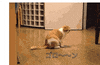 doin GIF