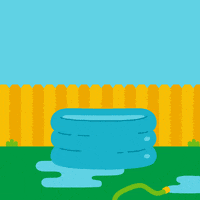 Summer Pool GIF by bubly