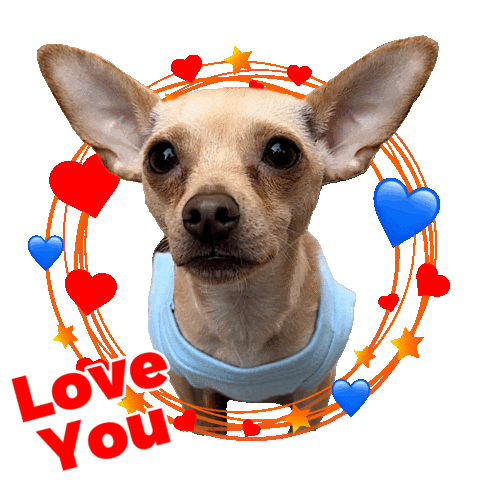 In Love Thank You Sticker by Pimp Yo Pets