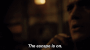 fox GIF by Prison Break