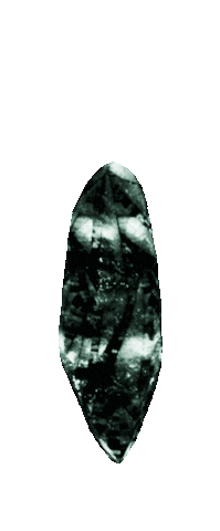 boo_app boo ti mbti 16 type Sticker