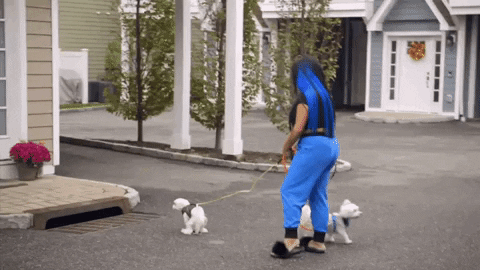Dogs Tlc GIF by Lexi Martone