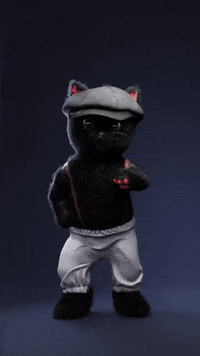 purrfreak dance cat kitty meow GIF