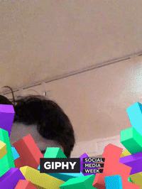 framebeta GIF