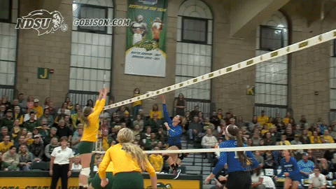 north dakota state volleyball GIF by NDSU Athletics