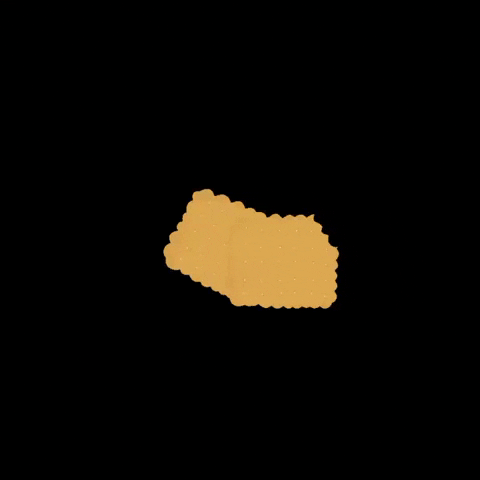 Food Biscuit GIF