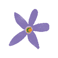 Flower Orange Sticker by Tasman Bay Food Co.