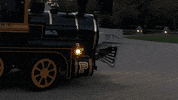 Black And Gold Mascot GIF by Purdue University