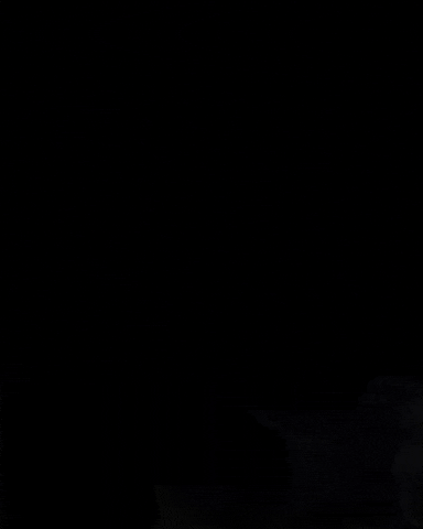 evoleneofficial giphygifmaker evolene GIF