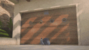 TeamTO funny fail crazy pet GIF