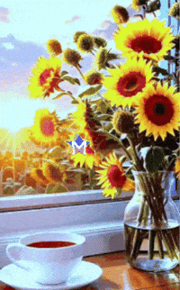 Un Dia Amigos GIF by Murcianys LLC