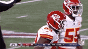 2018 Nfl Football GIF by NFL