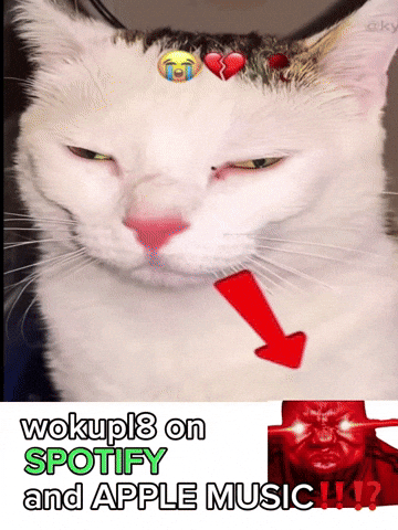 Grin Funny Cat GIF
