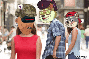 Tdp GIF by The Doge Pound