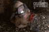 Im A Celebrity Au GIF by I'm A Celebrity... Get Me Out Of Here! Australia