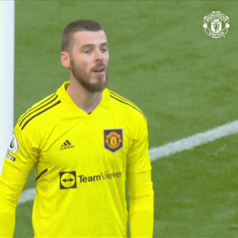 De Gea What GIF by Manchester United