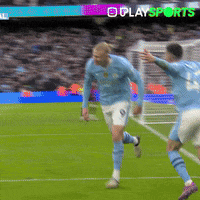 Happy Premier League GIF by Play Sports