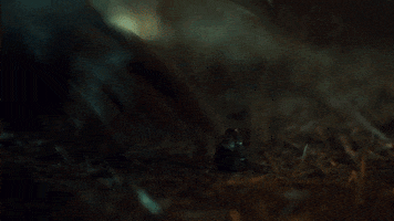 nicole doc GIF by Space