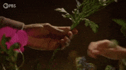 Episode 2 Love GIF by PBS