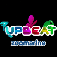 Happy Fun GIF by Zoomarine Algarve