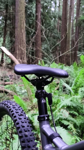 PNWComponents giphygifmaker GIF