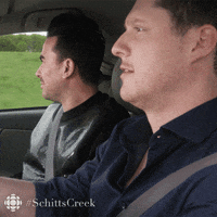 Say What Schitts Creek GIF by CBC