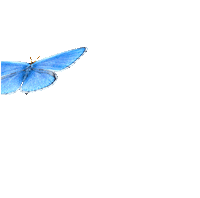 Flying Here I Am Sticker by Sony Music Türkiye