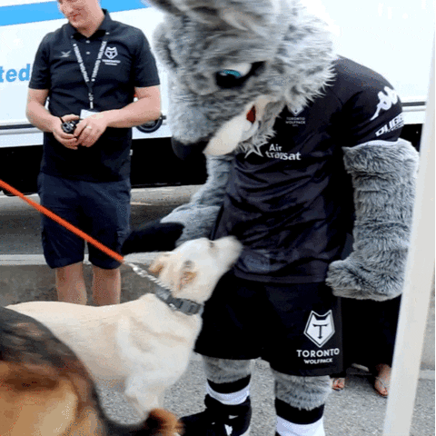 rugby league dog GIF by Toronto Wolfpack