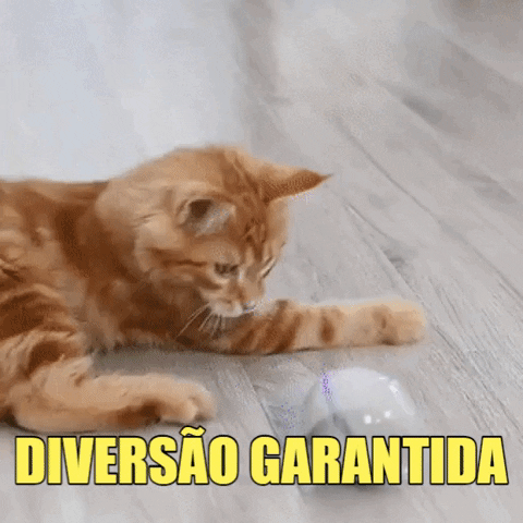 tuahpet giphygifmaker tuah pet bola tuah pet brinquedo tuah pet GIF