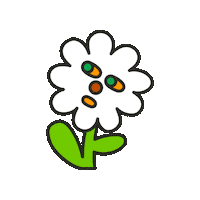 maevechocolate flower maeve white flower maevechocolate Sticker