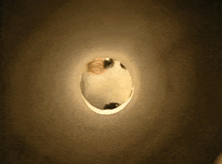 Season 1 Tube GIF by Nanalan'