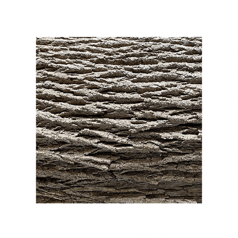 Breathing Bark GIF by GwenCharles