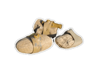Bleifrei Sticker by FISHSTONE