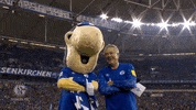 Football Soccer GIF by FC Schalke 04