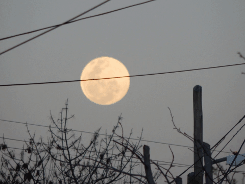 moon luna GIF