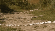 north dakota GIF