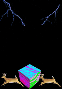 contemporary art photography GIF by CLAUDIO PARENTELA