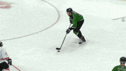 BinghamtonBlackBears black bears fphl black bears hockey binghamton black bears GIF