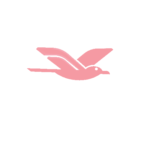 iBenlo giphyupload pink bird fly Sticker