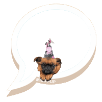 happy birthday dog Sticker by MISO PUP