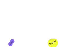 Pace Own It Sticker by paywithpace