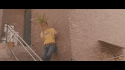 snapping julia jacklin GIF by Polyvinyl Records
