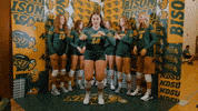 Dance Volleyball GIF by NDSU Athletics