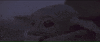 Baby Yoda GIF by Vulture.com
