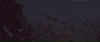 Baby Yoda GIF by Vulture.com